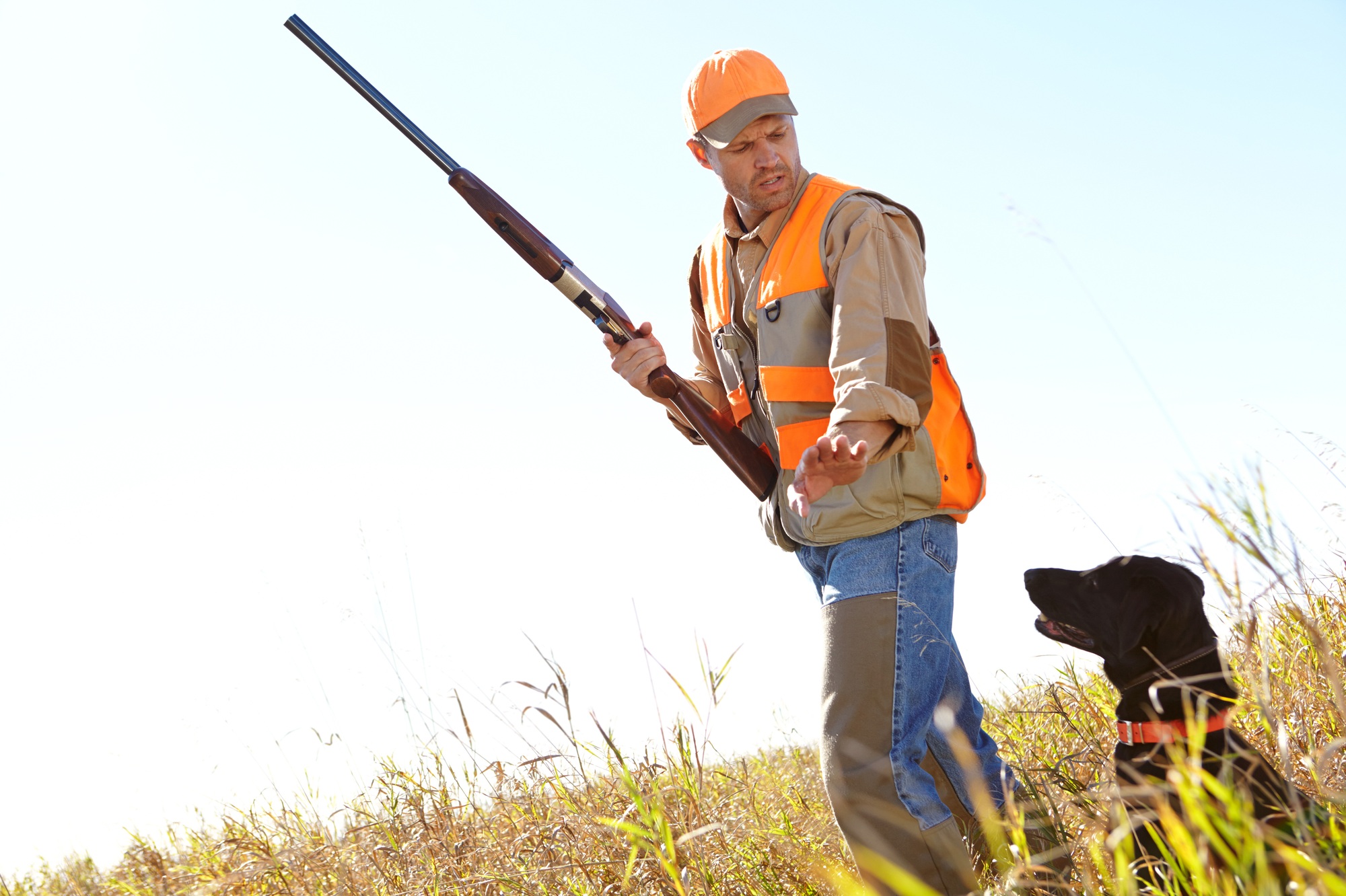 Man, dog and outdoor for hunting danger, stop and safety together in nature for training. Mature pe